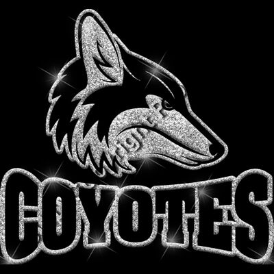 GLT32 SILVER GLITTER Thumbnail