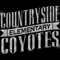 GLT57 SILVER GLITTER Thumbnail