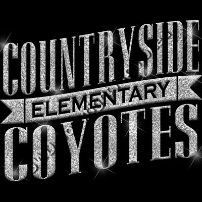 GLT57 SILVER GLITTER Thumbnail