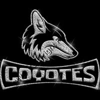 GLT94 SILVER GLITTER Thumbnail