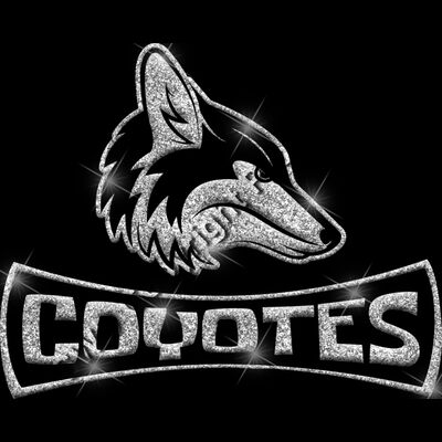 GLT94 SILVER GLITTER Thumbnail