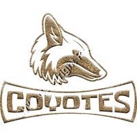 GLT94 GOLD GLITTER Thumbnail